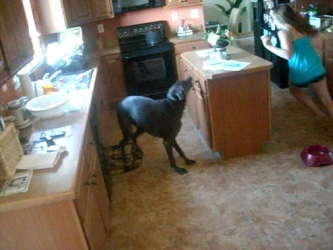 bullet (: