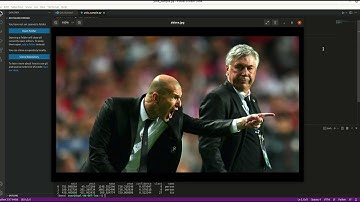 YoloV5 ObjectDetection using python and opencv