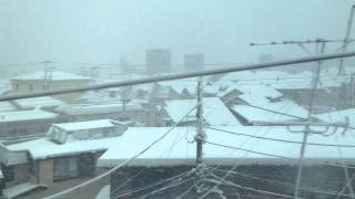 大雪 E233系 中央線 快速 車窓 国立→立川/0925頃