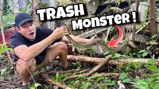 Removing Massive Python From Trash Pile ! Breeding Nest !!