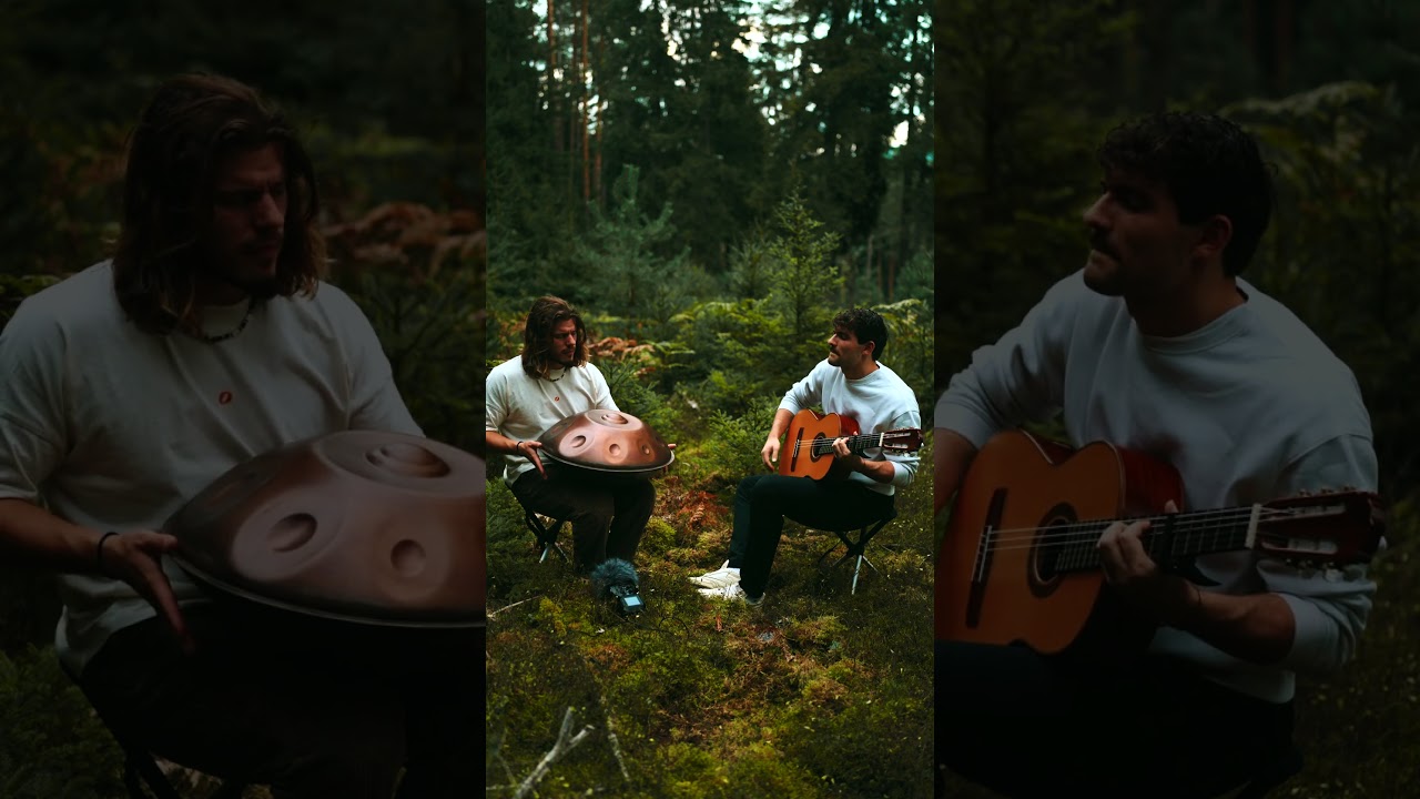 Handpan and Guitar✨
