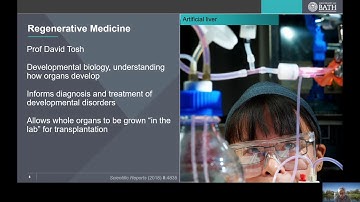 An introduction to biomedical sciences at Bath