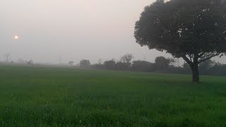 FARM VIEW 