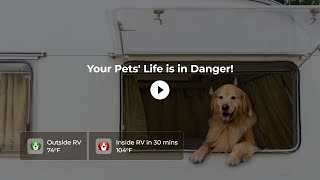 How Waggle can Save your Pet while Traveling in an RV | Waggle Pet Monitor by Waggle TV 555 views 9 months ago 1 minute, 46 seconds