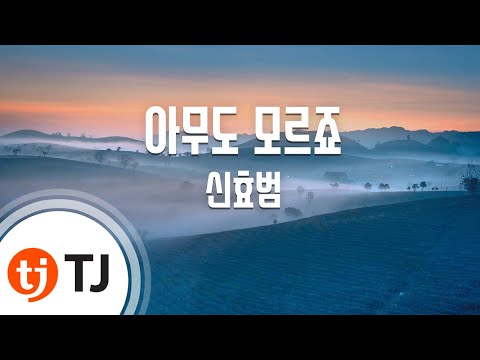 [TJ노래방] 아무도모르죠 - 신효범 / TJ Karaoke