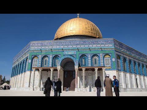 Masjid Nabwi Umbrellas Viralshorts Prophet Near God Masjid 