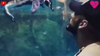 #Jaliadavakkath Arabic song ringtone {Bad follow}