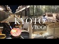 【京都VLOG】冬の京都を満喫する５泊６日の旅 part1 / Nazuna 京都 椿通/ Kyoto travel / 京都グルメ / 嵐山 /京都旅行/ kyoto trip