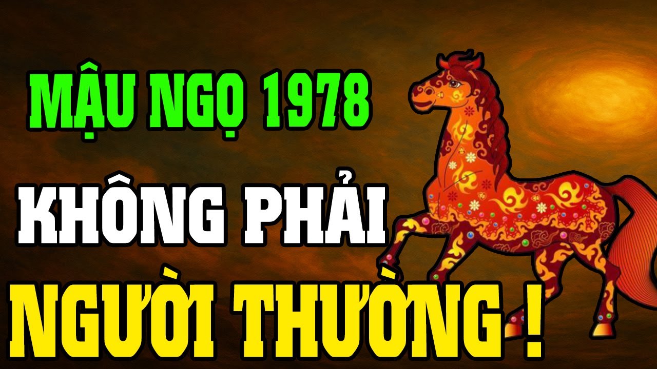 Mậu Ngọ 1978–Cuộc Đời Khổ Vì Có Căn Trả Nghiệp, Nhưng Hậu Vận Là Đại Phúc Nếu Hiểu Được 7 Điều Này