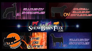 Willoughby Webcast