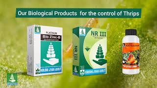 Thrips: Lifecycle and its control Thrips: Lifecycle and its control