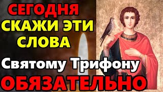 В праздник СКАЖИТЕ ЭТИ СЛОВА СВЯТОМУ ТРИФОНУ! Молитва Святому Трифону