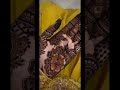 Henna#new #trending #simple #song