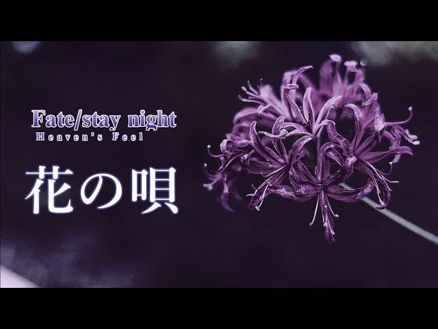 Fate/stay night スケルトンオルゴール　花の唄 Fate】20th記念オルゴール「花の唄」が届いたのでご紹介っ