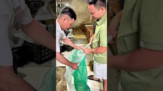 đi thu don cho bà con lai châu