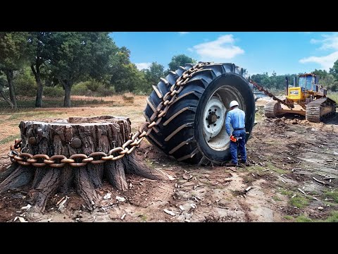 Dangerous Powerful Stump