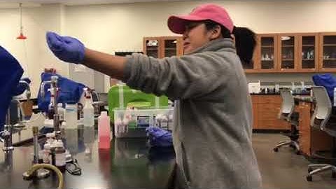 BIOL 305 Presentation