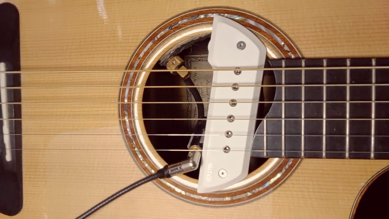 emg acs + fishman rare earth mic blend