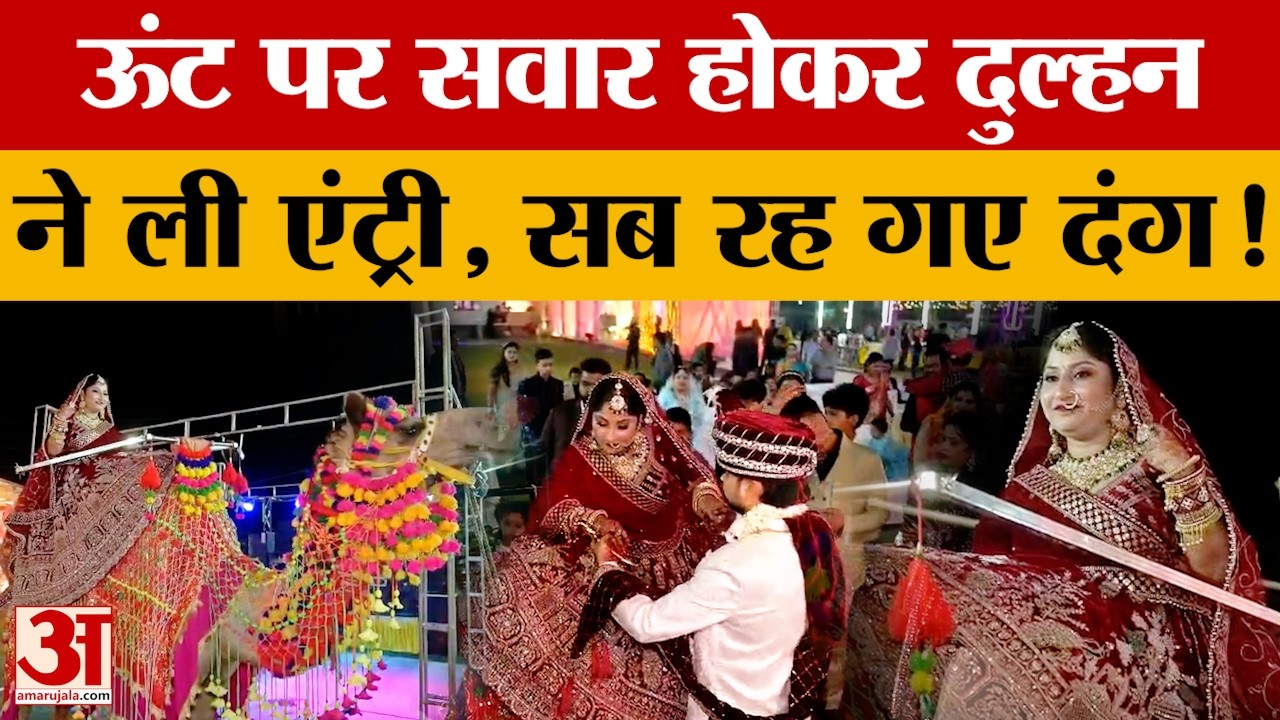Aligarh News: ऊंट पर सवार होकर दुल्हन ने ली एंट्री, सब रह गए दंग! | UP News | Amar Ujala