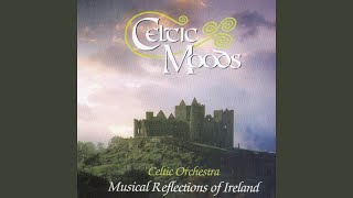 Video thumbnail of "Merlin Celtic Orchestra - The Fields of Athenry"