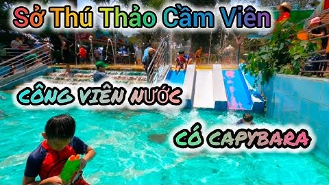 Khám Phá Thảo Cầm Viên & Công Viên Nước – Gặp Capybara Siêu Dễ Thương!