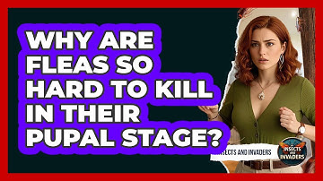 Why Are Fleas So Hard To Kill In Their Pupal Stage? - Insects and Invaders