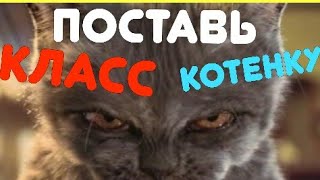 НЕВОЗМОЖНО СДЕРЖАТЬ СМЕХ ПРИКОЛЫ ДЛЯ ВЗРОСЛЫХ СМОТРЕТЬ ТОЛЬКО СТАРШЕ 18 ЛЕТ НЕВОЗМОЖНО СДЕРЖАТЬ СМЕХ ПРИКОЛЫ ДЛЯ ВЗРОСЛЫХ СМОТРЕТЬ ТОЛЬКО СТАРШЕ 18 ЛЕТ