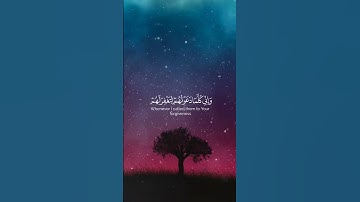 سورة نوح❤️ #islam #القرآن_الكريم #quran