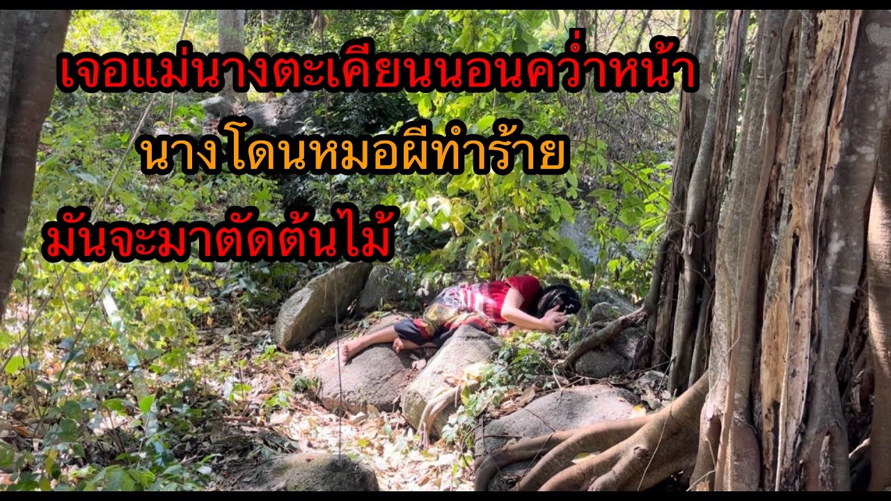 เจอแม่นางตะเคียนนอนคว่ำหน้านางโดนหมอผีมาไล่เพื่อตัดต้นไม้ออกทำไงดี.!?