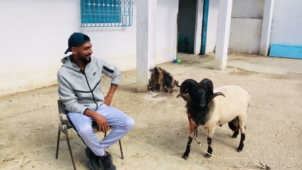 زانزانة 🏆 جبل جلود ترحب بكم 🇹🇳