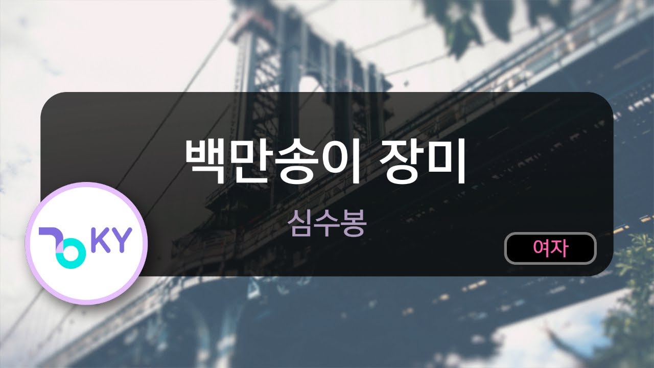 백만 송이 장미 - 심수봉 (KY.5273) / KY Karaoke