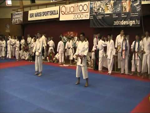 Karate Progresul Cernica Eger Ungaria 2011-5/5