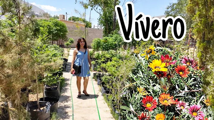 Vivero rea Las Torres Cd. Jurez Chih. // Vivero Ec...