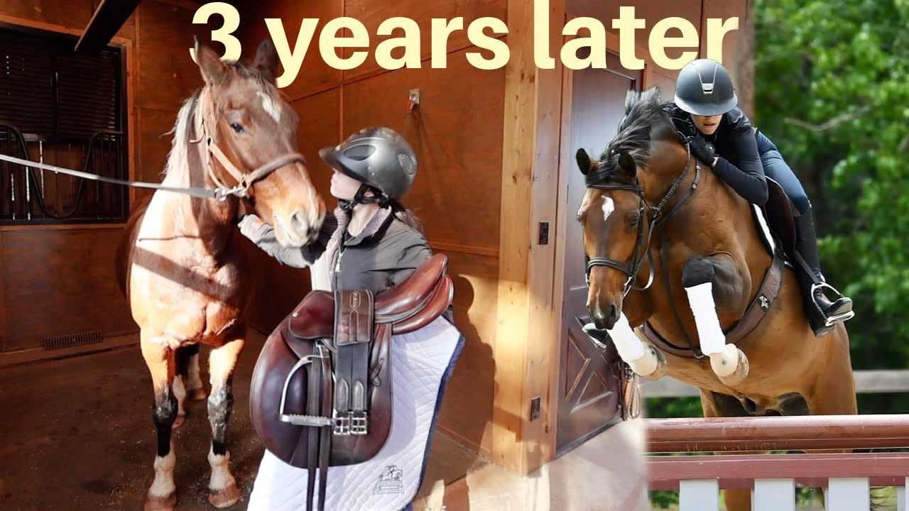 Впервые за 3 года прокатилась верхом на своей бывшей лошади!!!