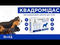 Квадромідас MODES - протипаразитарна таблетка для собак