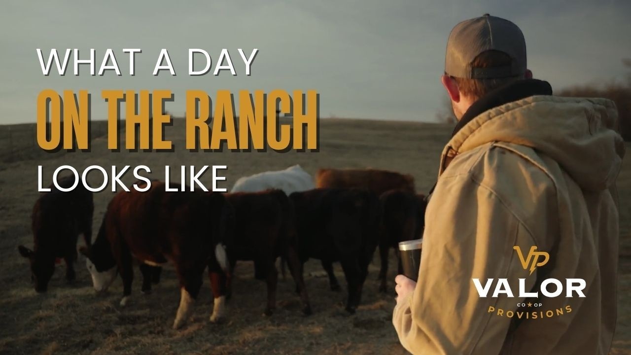 What a day on the ranch looks like