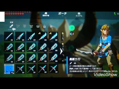 ゼルダ の 伝説 ブレス オブザ ワイルド イーガ 団 ゼルダ ブレスオブザワイルド ぜるだ とは ピクシブ百科事典