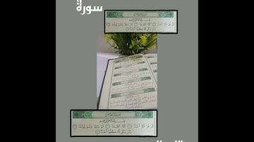 #سورة الاخلاص بصوت جميل جدا #