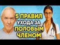 Уролог Объясняет 5 Важнейших Правил Ухода За Пенисом!