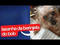 #japão #lazanha do bob = Como fazer lazanha?#collab