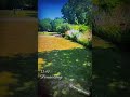 #explore #mannheim #shortvideo #shortvideos #trending #viral #beauty #summer #sunshine