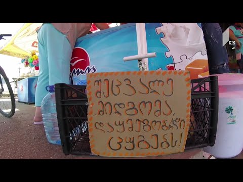 #ახალიდღე „შეცვალე მიდგომა დაუმეგობრდი ცუგებს“