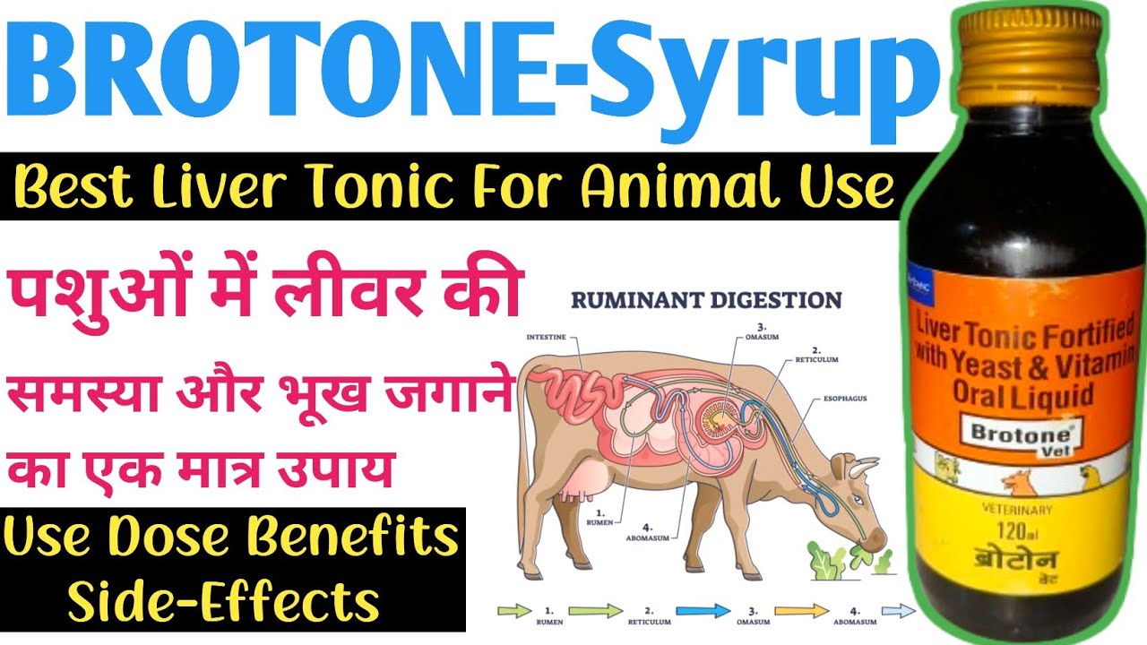 Brotone Vet Syrup Use Kaise Kare || मवेशी में लीवर टॉनिक की दवा ...