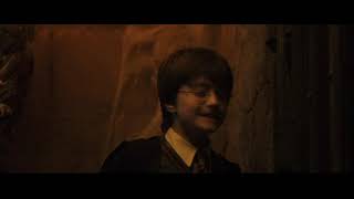 Harry Potter and the Chamber of Secrets Year One at Hogwarts