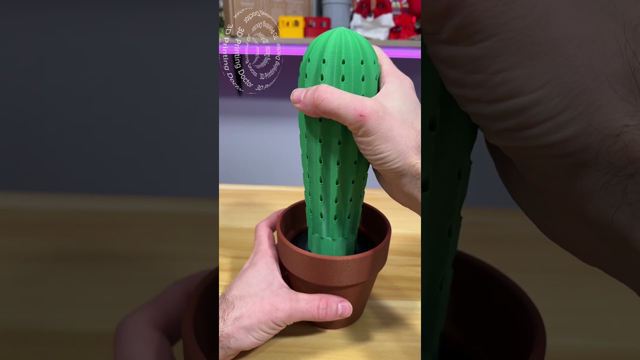 cactus world news Cactus World News Worlds Apart UK 7