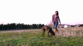 Field (2016)