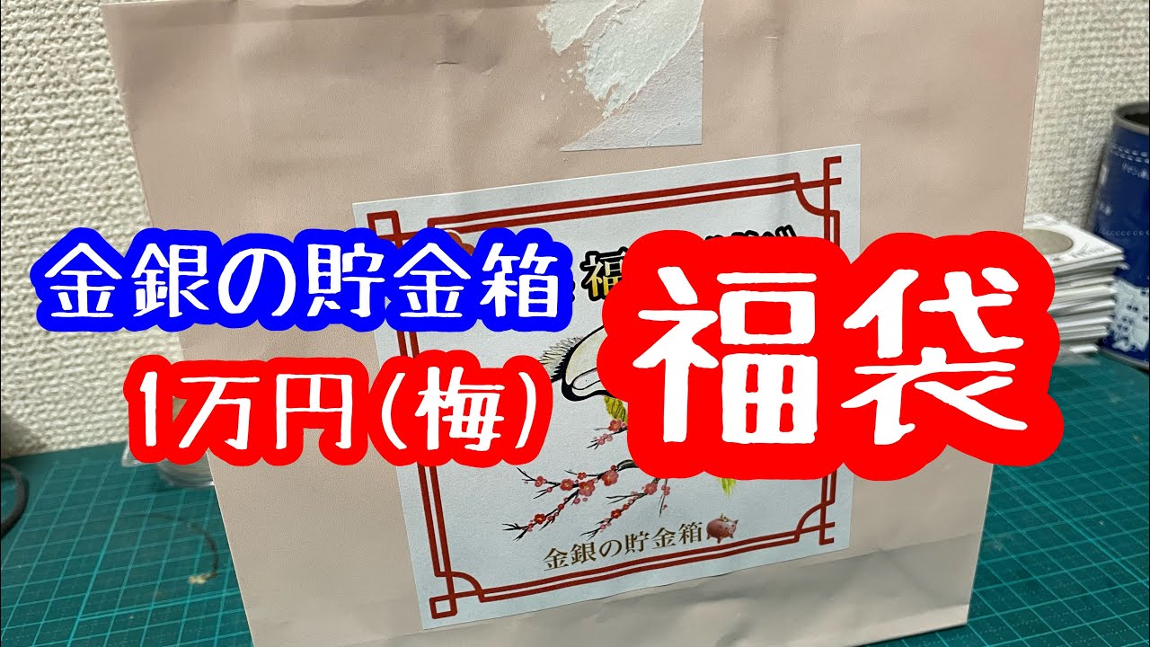 【福袋/銀貨】2024年金銀の貯金箱の福袋購入① 【梅編】開封＆中身の紹介