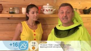 Чай при хроническом пиелонефрите Чай при хроническом пиелонефрите