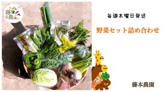 今週の野菜セット（11月5日発送分）