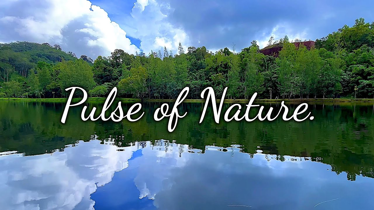 Thailand . Secret of the Mirror Lake in the Jungle🌿 Пхукет. Пульс природы. Тайна зеркального озера 💧